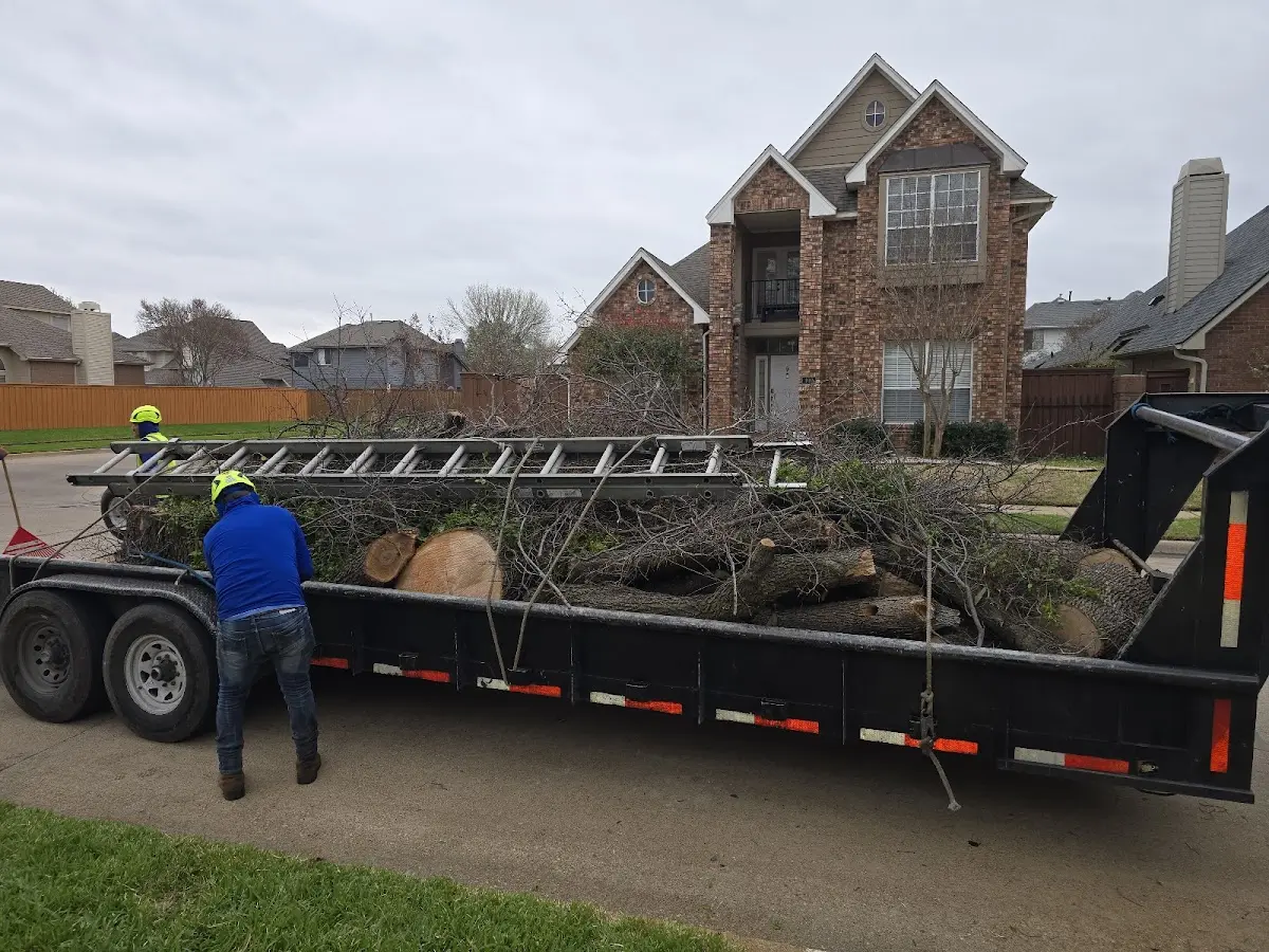 Expert Tree Fertilization with proper safety equipment in West Hempstead